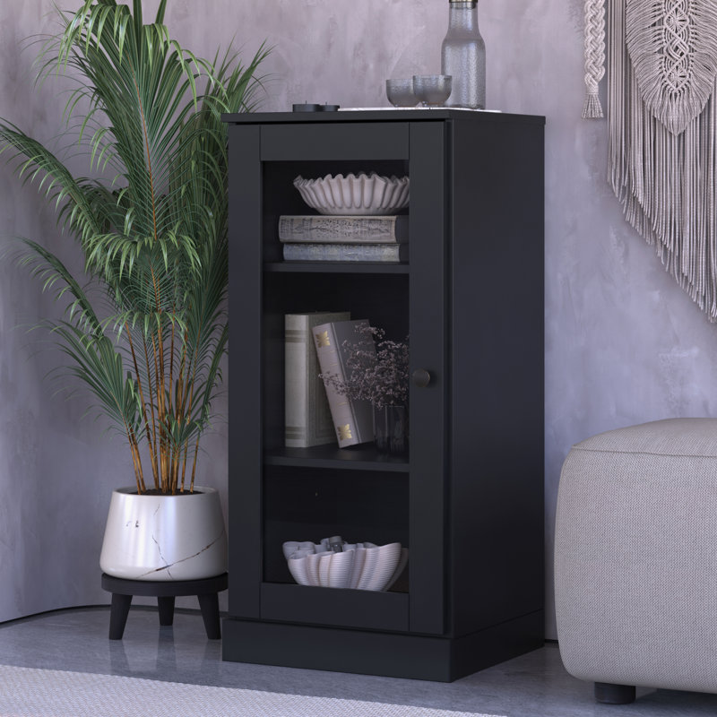 Bibliothèque 100% bois massif à 3 tablettes avec porte en verre transparent et tablettes réglables, Noir, noir, noir, noir
