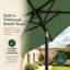 2 cm W X 2 cm D Beach Parasol with Crank Lift