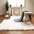 Indoor Rug