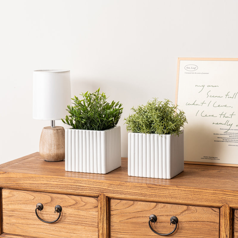 2 Piece White Ceramic Flower Planters Pots