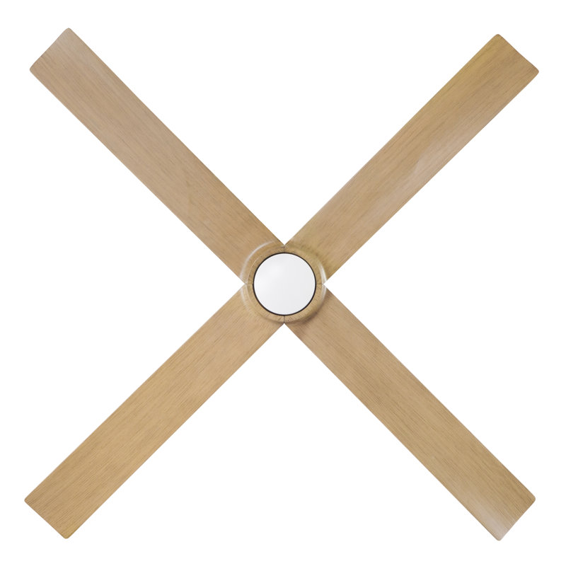 Nouveau Downrod Ceiling Fan, Matte White/Brass, Wall/Remote Combo Controls, Maple