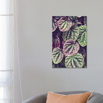 Heart Leaves by Olivia Joy StClaire - Wrapped Canvas Gallery-Wrapped Canvas Giclée