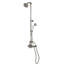 Système de douche thermostatique exposé avec inverseur-98233673