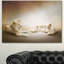 Animal «White Lion Family», impression-35105391-35105394