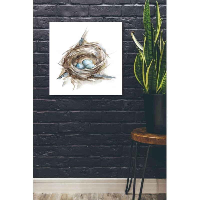 «Bird Nest Study II» par Ethan Harper - impression sur toile tendue, H 26 po x l 26 po