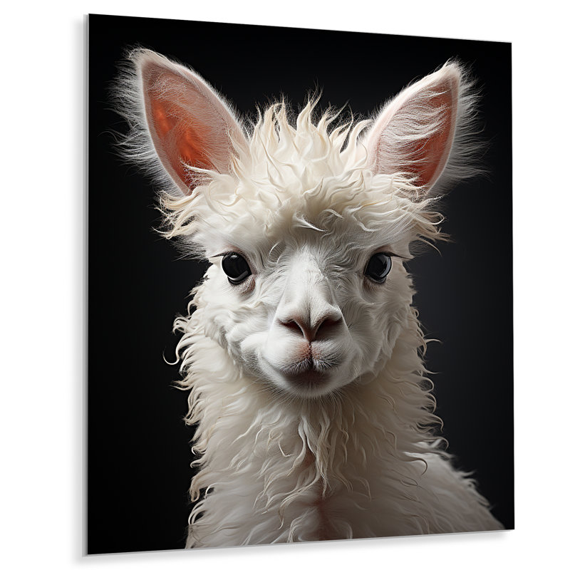 «Llama Woolen Charisma - Animals», reproduction d'art sur métal, H 20 po x l 12 po x P 1 po