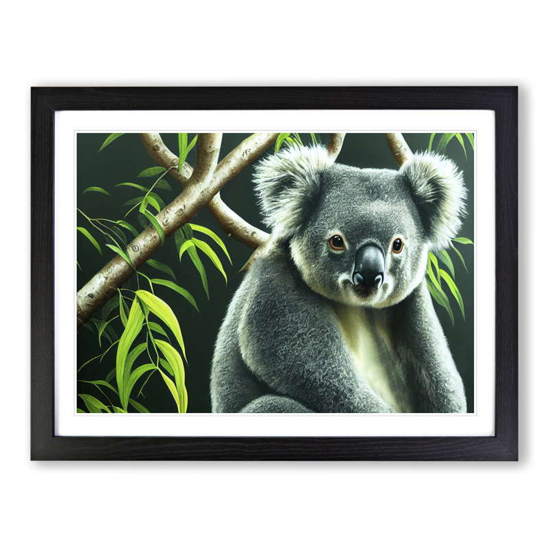 Koala Bear Vol.3 - Single Picture Frame Print, Black Framed, 34cm H x 46cm W x 2cm D