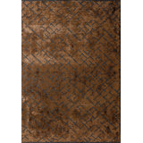 Rapture Abstract Area Rug in Brown