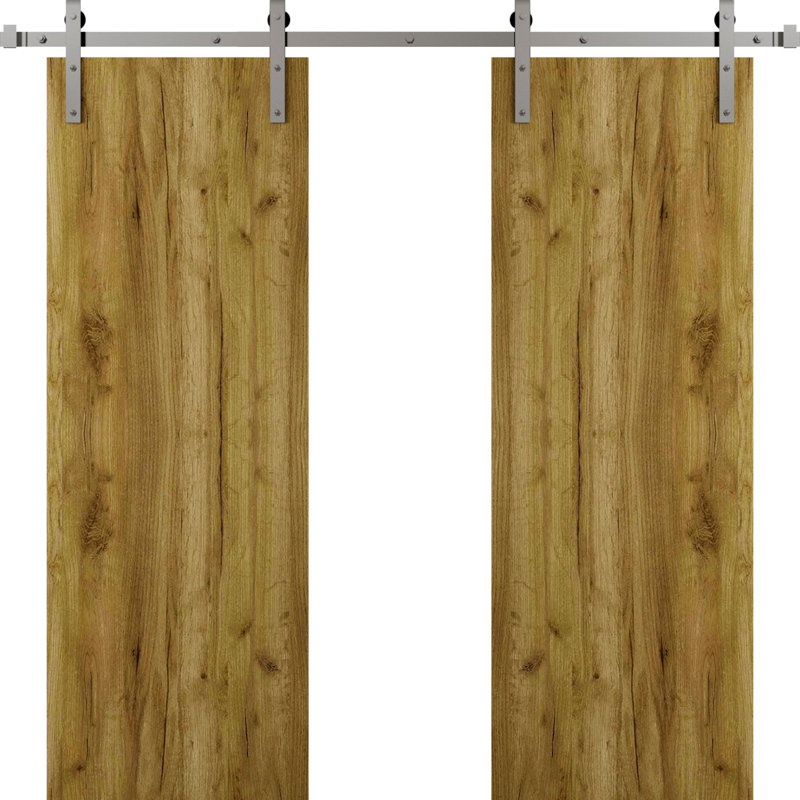 Modern Barn Door - ESSENTIAL 8001 - 6.6FT Rail Track Heavy Hardware Set - Solid Panel Interior Doors, Antique Oak_Silver, 2