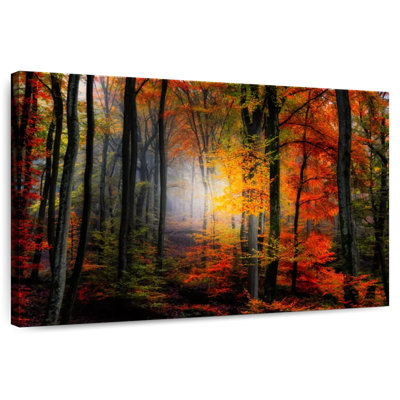 Alvord Foggy Forest In Fall