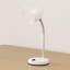 Ervin Metal Desk Lamp