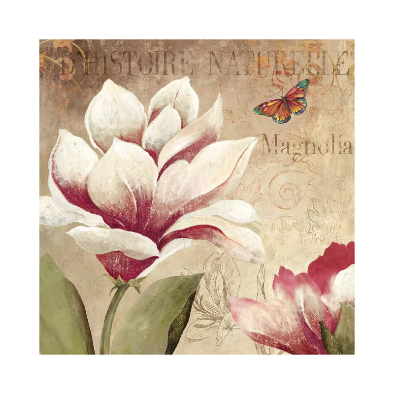 Magnolia - Wrapped Canvas Print, 93.98 cm H x 93.98 cm W x 3.175 cm D