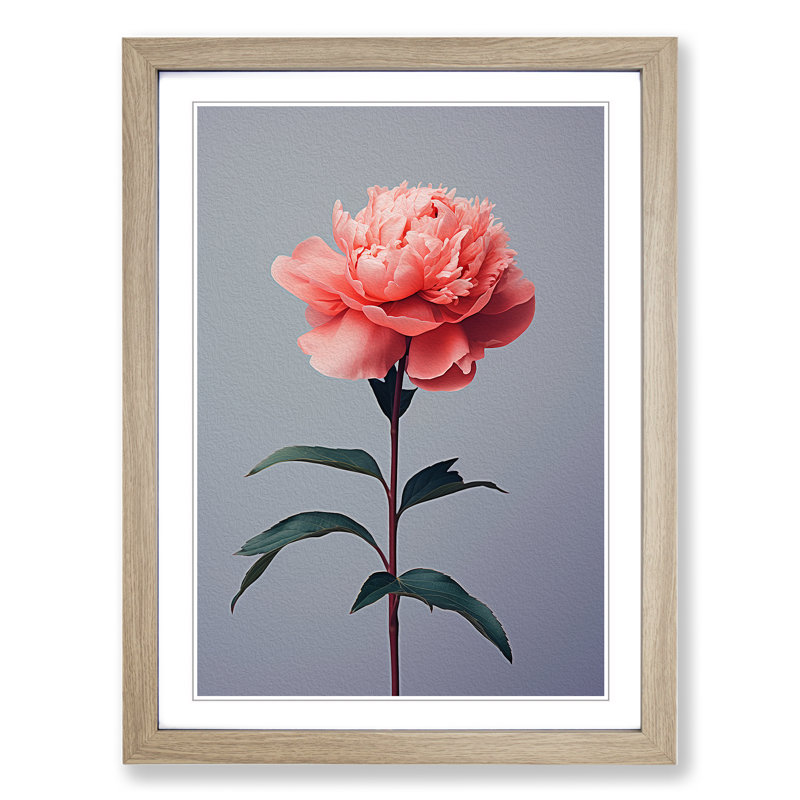 XYZ-FRM-V1223-5078 Peony Flower Minimalism - Single Picture Frame Print on Wood, Oak, 46cm H x 34cm W x 2cm D