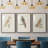 " Barn Owl " 3 Piece Art Color Photography Painting-669017105-669017109