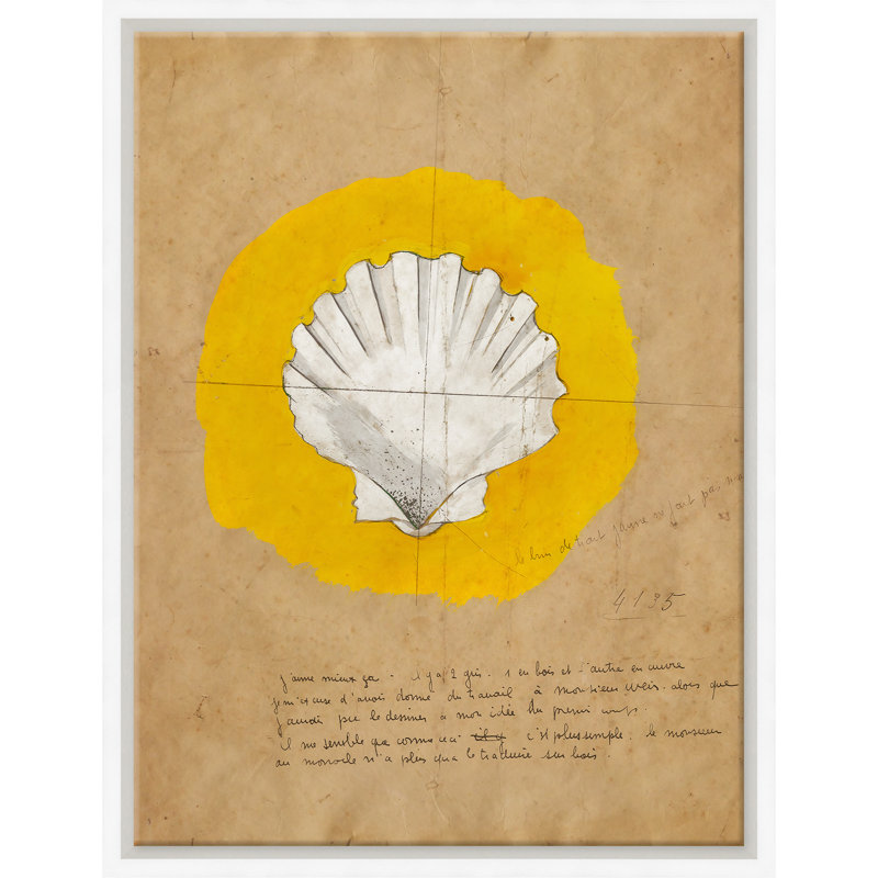 Shell 1 Print by Paule Marrot