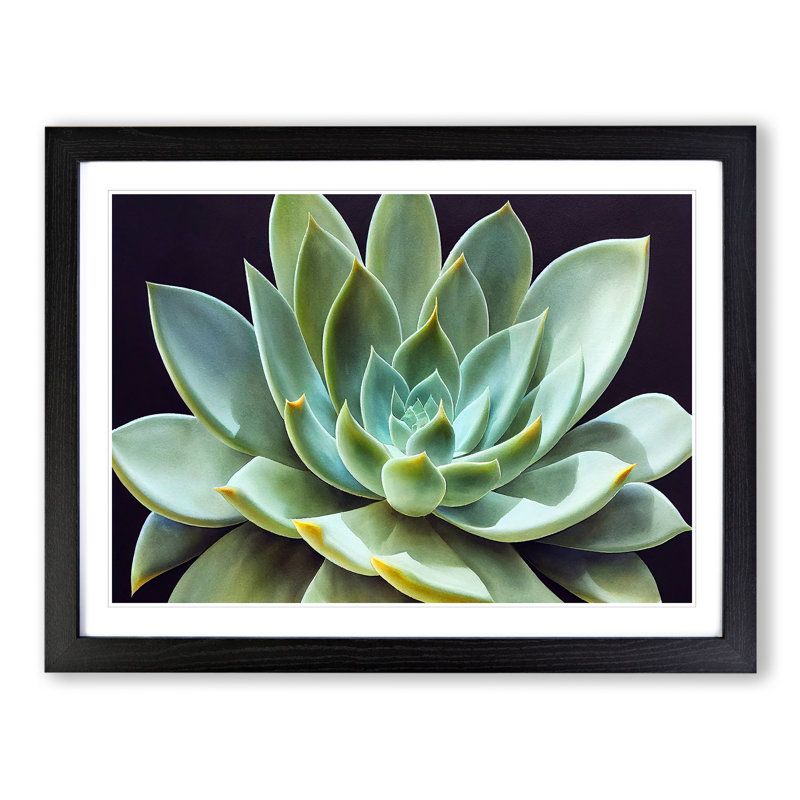 Watercolour Succulent Plant Vol.5 1 Piece Single Picture Frame Wall Art, 25cm H x 34cm W, Black