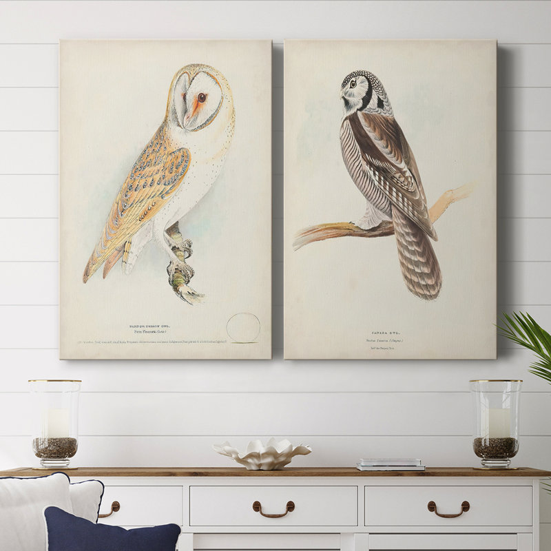 Barn Owl - Toile tendue avec châssis de qualité supérieure - Prêt à être accroché, H 27 po x l 36 po