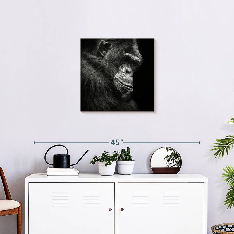 Crowle Contemplating Chimpanzee, 20" H x 20" W