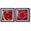 Rose sauvage - Encadrée sous verre acrylique, ensemble de 2, grande décoration murale pour salon-61458012-61458017