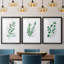 Freshly Picked I - Ensemble de 3 reproductions de cadres photo-456555362-456555368
