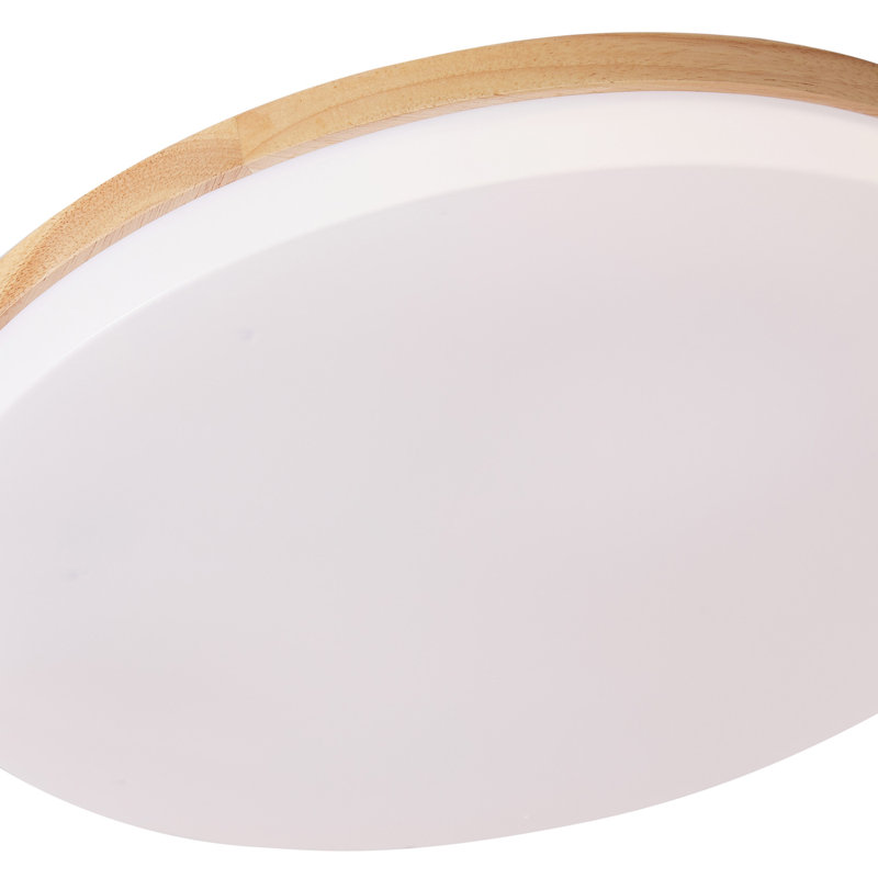 Parinaaz LED Flush Mount