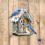 Support mural oiseaux lover House
