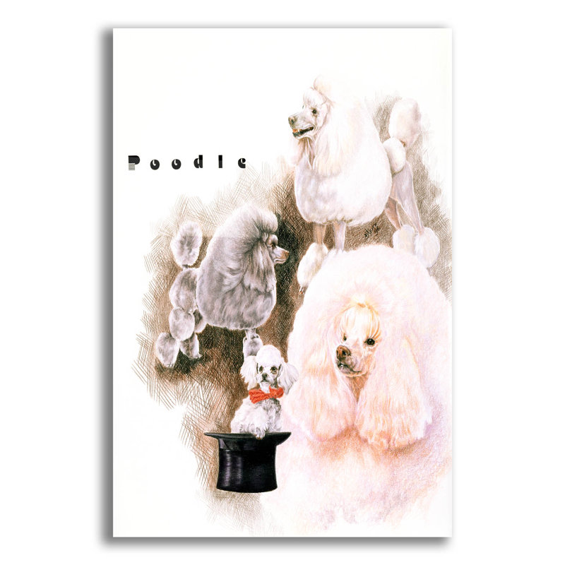 «Poodle 2» par Barbara Keith - impression non encadrée, H 16 po x l 12 po x P 0,13 po