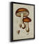 Champignon Variétés VI, reproduction encadrée de qualité supérieure, prête à être accrochée-898072089-898072088-898086849