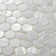 Conchella 1" x 1" Seashell Penny Round Mosaic Tile