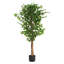 Ficus artificiel avec pot en plastique noir
