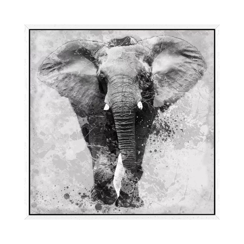 Proud Elephant by Carol Robinson - Print on Canvas, 45.72 cm H x 45.72 cm W, White Framed Canvas