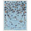 Stones Print by Paule Marrot-340709184-340709191
