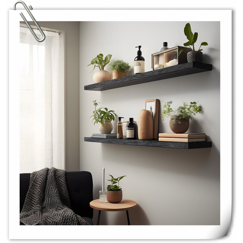 Dawnesha 4 Piece Solid Wood Floating Shelf, Black