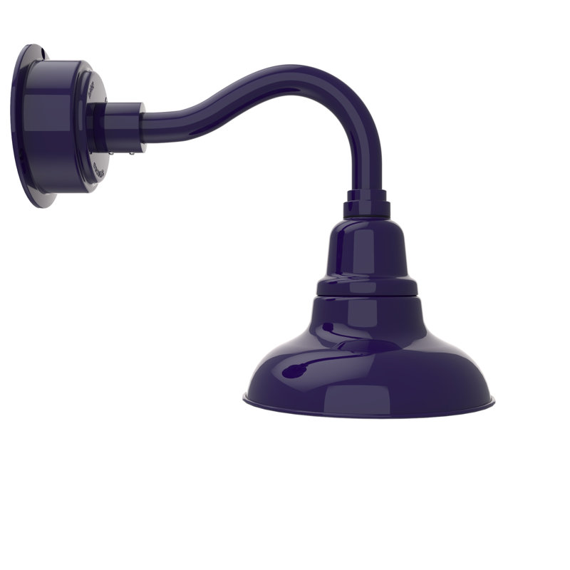 Luminaire de grange 1 lumière DEL Idella, Bleu de cobalt, H 12 po x l 8 po x P 16 po