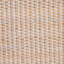 Dining Chair(Only Dining Chairs)