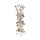Bauhinia Bud Vase