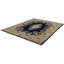Oriental Area Rug in Navy