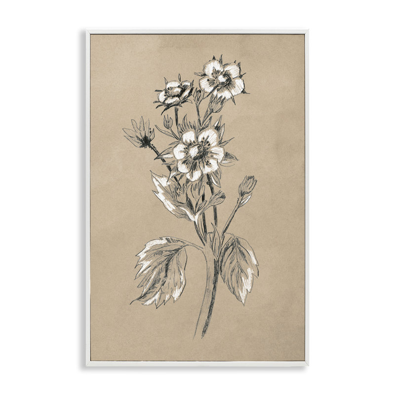 Dessin de fleur de pommier June Erica Vess bg-088, Estampe numérique encadrée blanc bord de mer, H 18 po x l 12 po