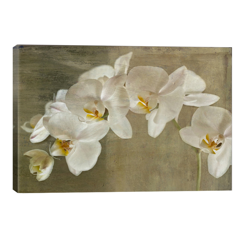 Painted Orchid by Symposium Design - Painting on Canvas, 101.6 cm H x 66.04 cm W x 1.91 cm D, No Frame