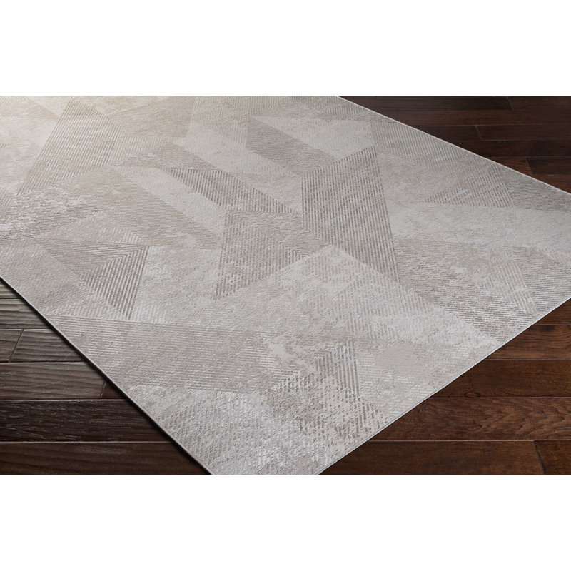 Abstract Indoor / Outdoor Rug, Rectangle 2'2" x 4'3"