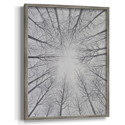 Deciduous Canopy II Framed Print - Solid Wood