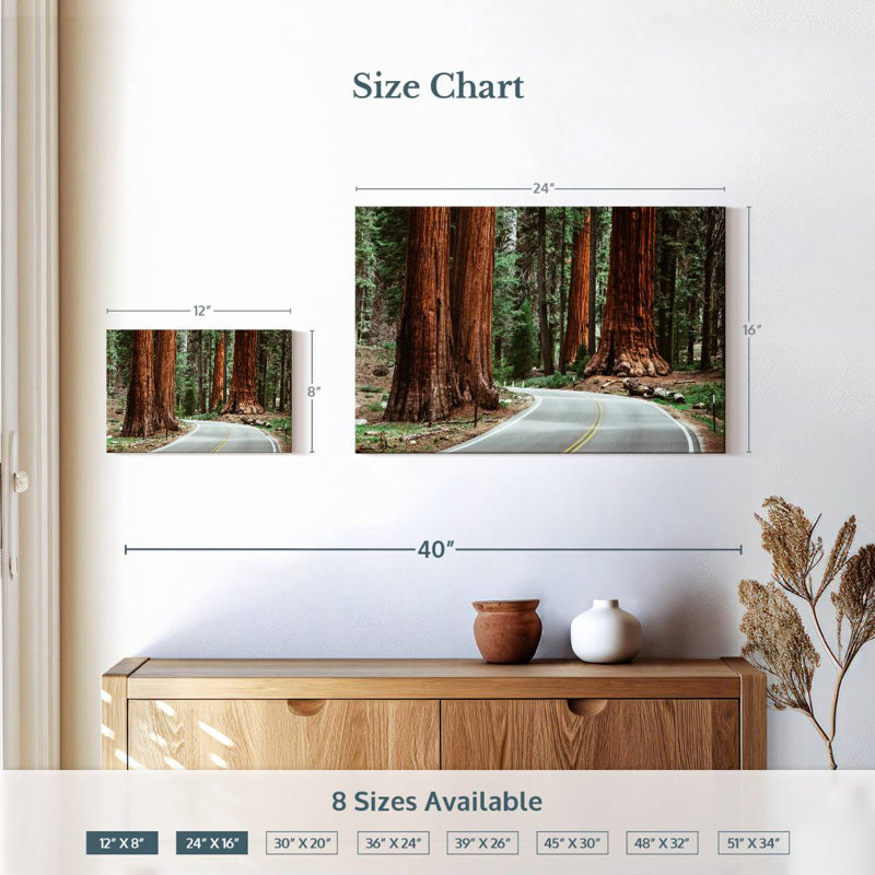 Sequoia Park Road, H 16 po x l 24 po