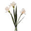 Arrangement-111171199