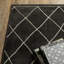 Tapis gris anthracite / ivoire Eola Trellis-2889921