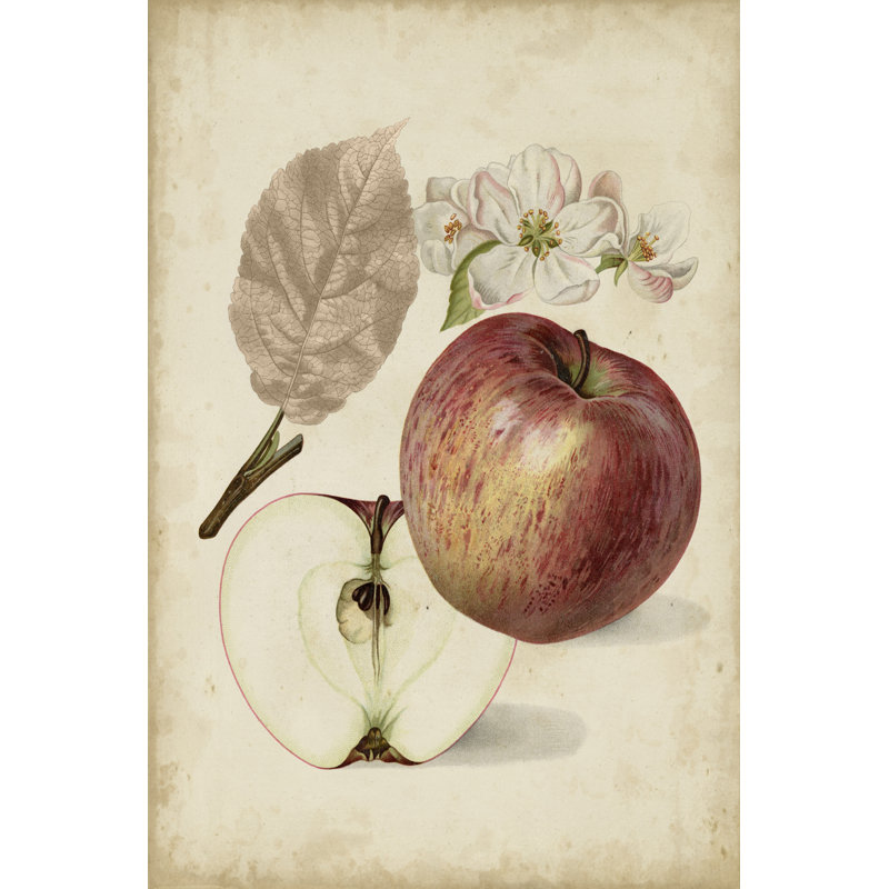 «Harvest Apples II», peinture sur toile, H 12 po x l 8 po