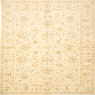 Winschoten Performance Oriental Indoor Rug