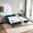 Velvet Upholstery Daybed with Trundle,USB Port ,Side Pockets-1010462259