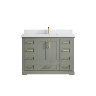 Esin 48'' Single Bathroom Vanity with Top