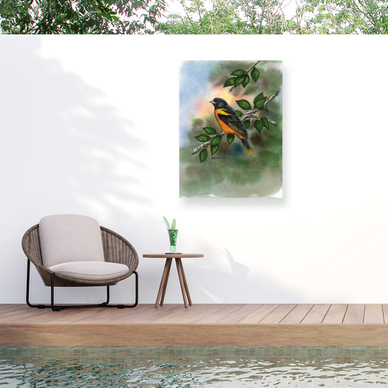 Toile pour l'extérieur Dave Bartholet Oriole, H 14 po x l 19 po