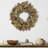 20" Preserved Spring Eucalyptus Mix Wreath